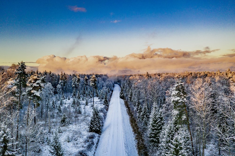 Photograph by VILNIS IZOTOVS