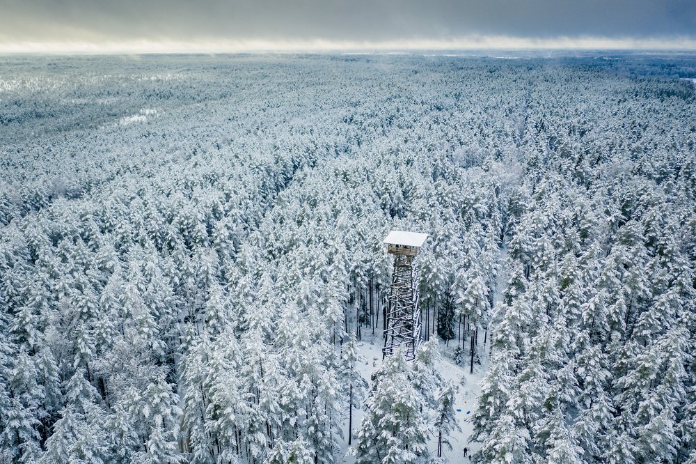 Photograph by VILNIS IZOTOVS