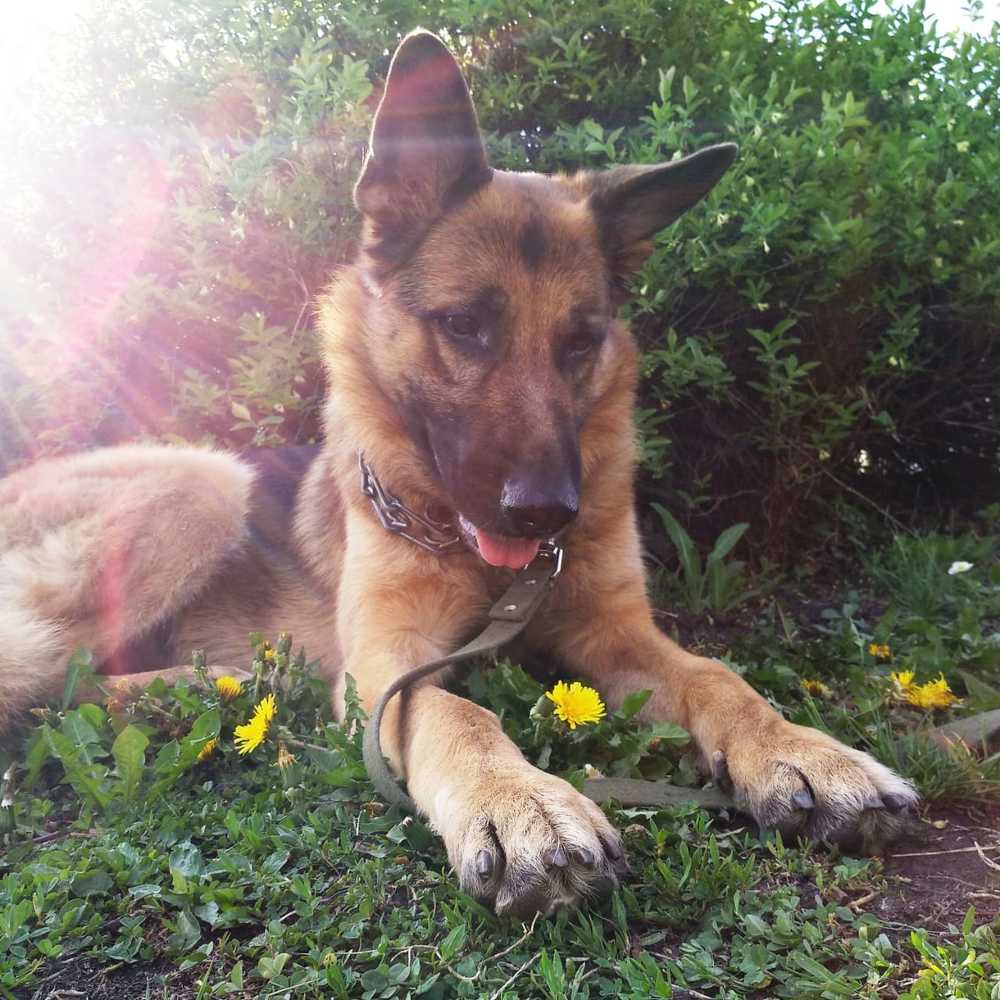 Photograph by Артем Саломатов