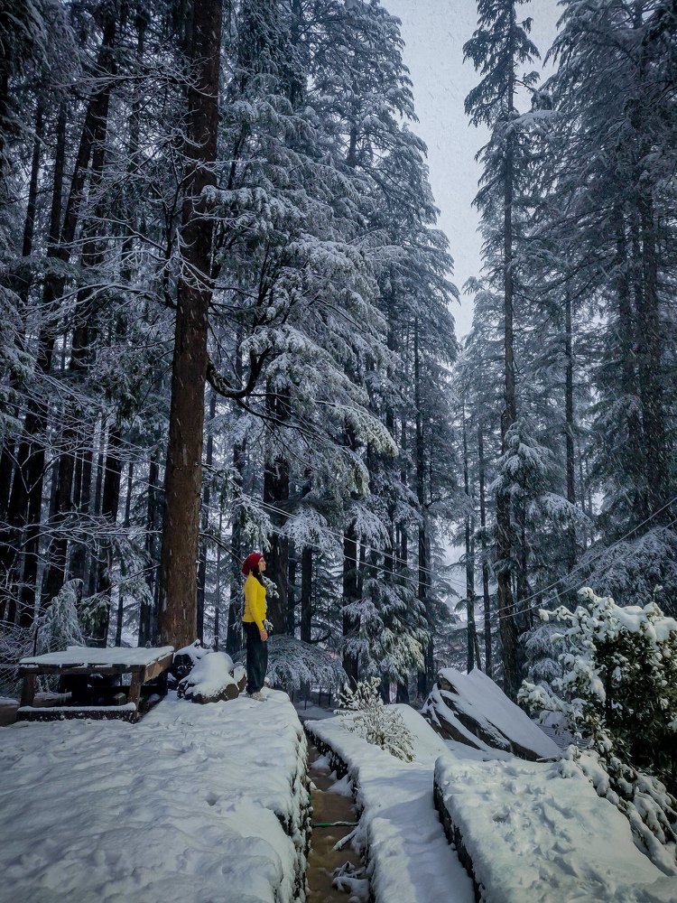 Photograph by Kshitij Patle