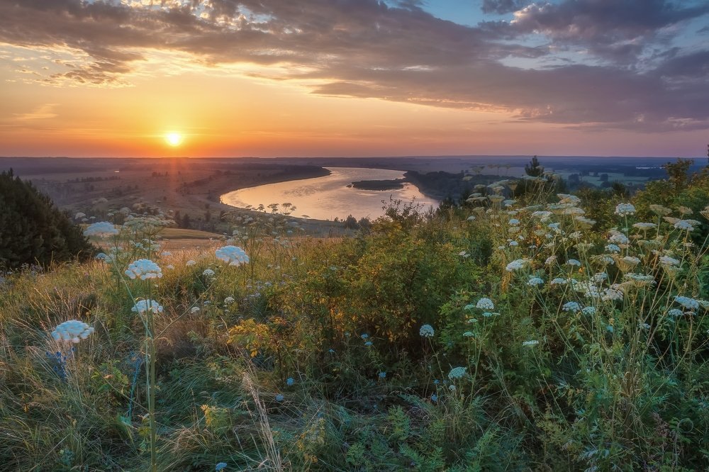 Photograph by Алексей Никитин