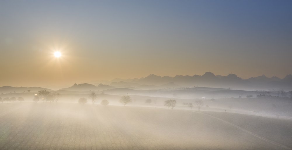 Photograph by Ba Nguyen