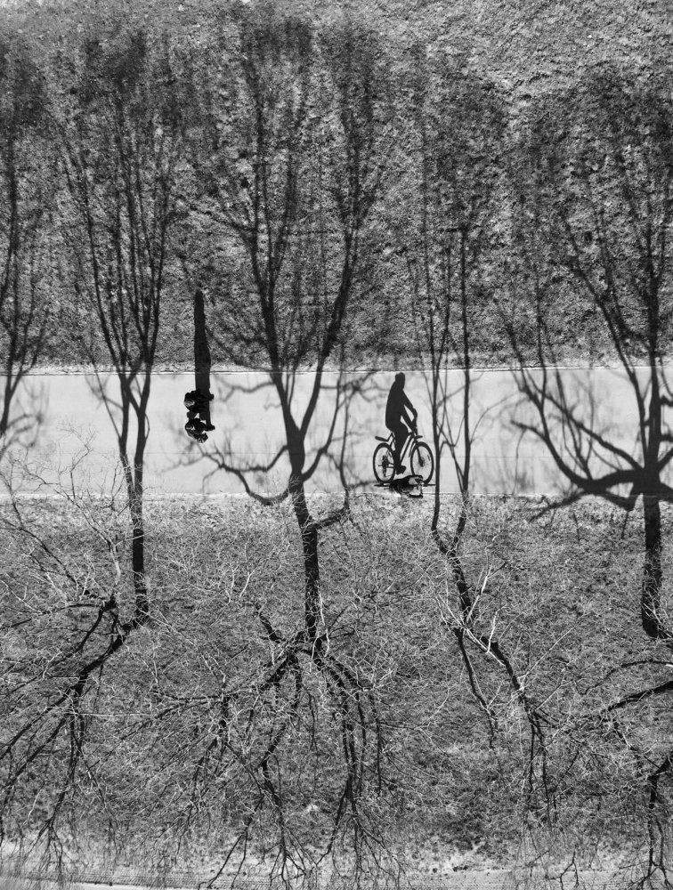 Photograph by Татьяна Пименкова