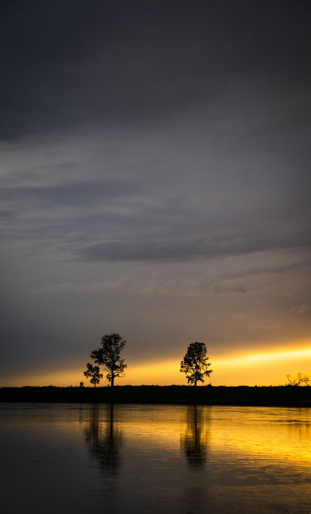 Photograph by Maria Pochikaeva