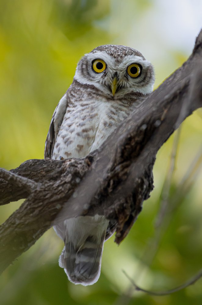 Photograph by Kshitij Patle