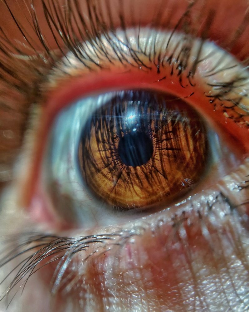 Photograph by Kshitij Patle