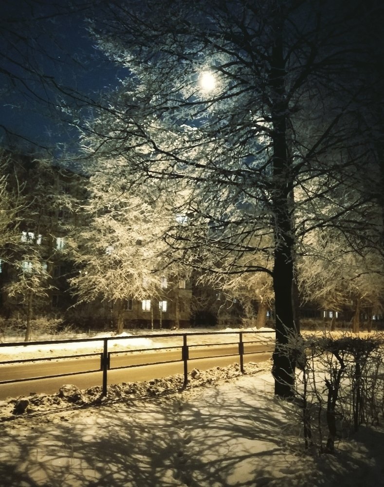 Photograph by Герман Штерн