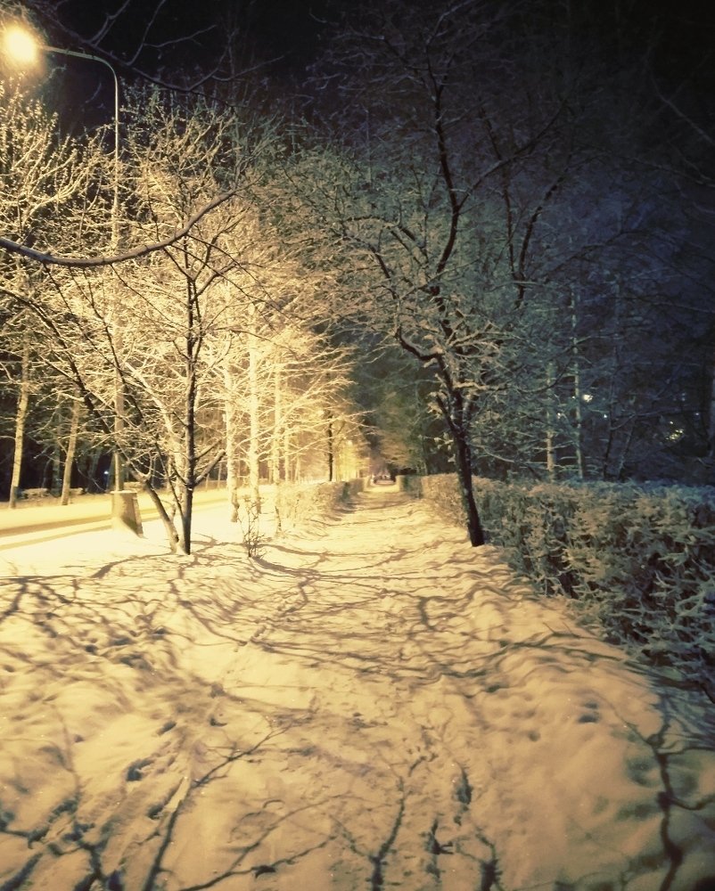 Photograph by Герман Штерн