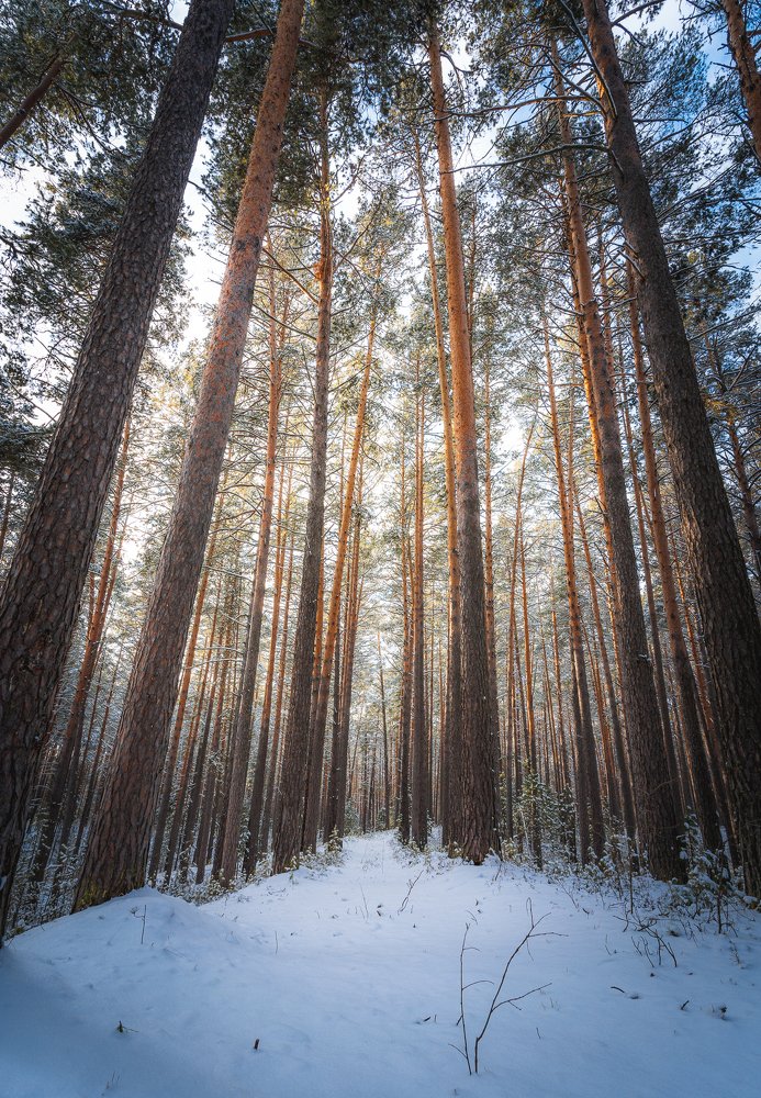Photograph by Maria Pochikaeva