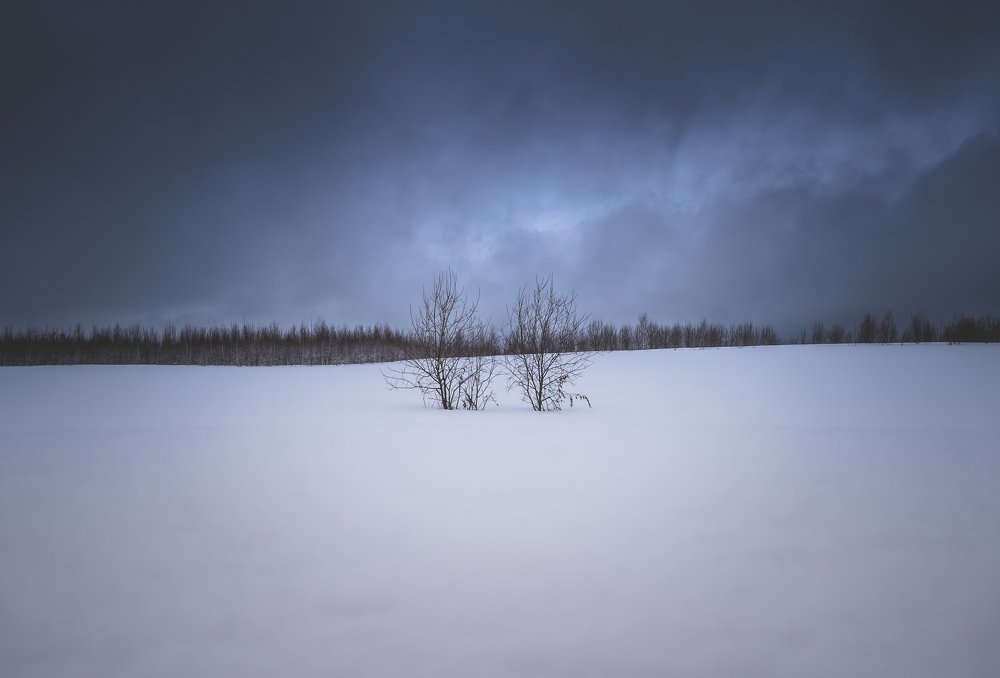 Photograph by Maria Pochikaeva