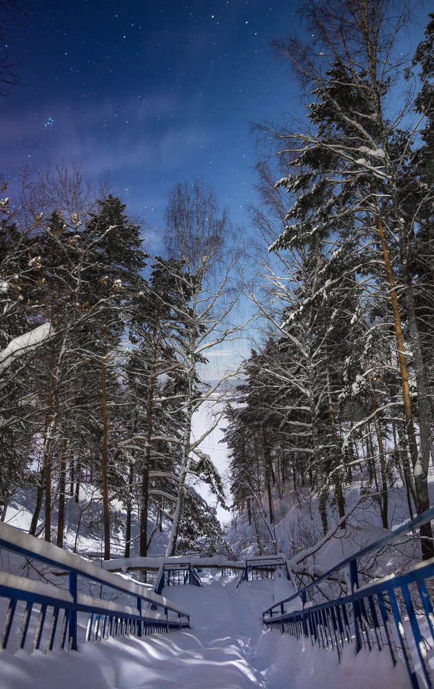 Photograph by Maria Pochikaeva