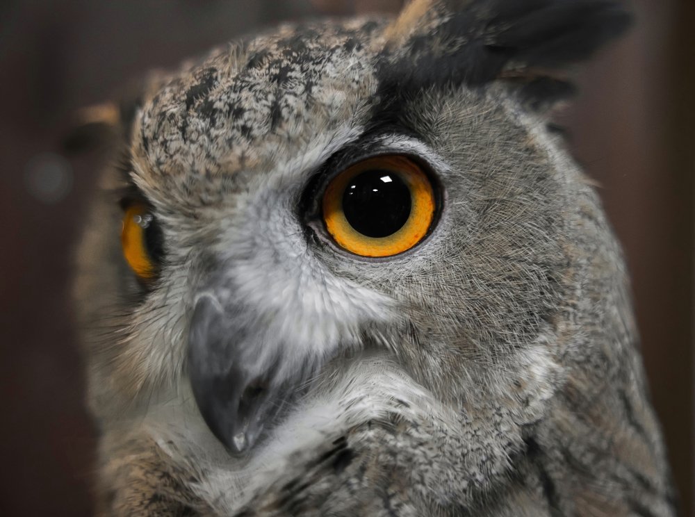 Photograph by Екатерина Кицмен