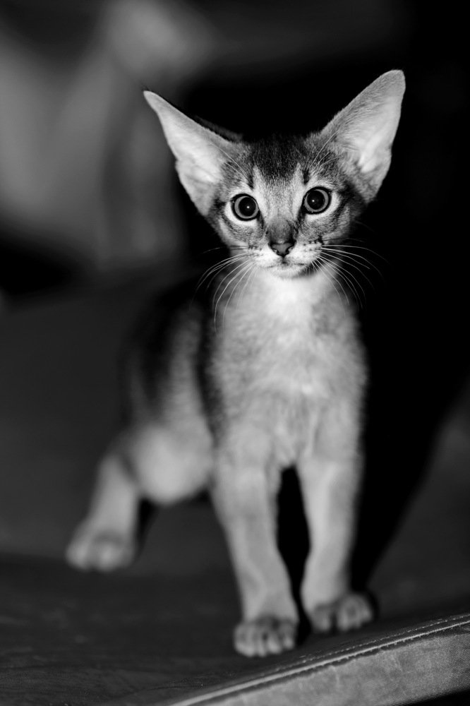 Photograph by Константин Лагоденко