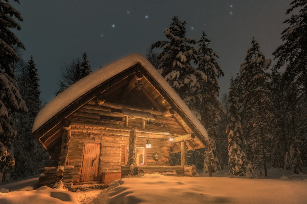 Taiga Cabin