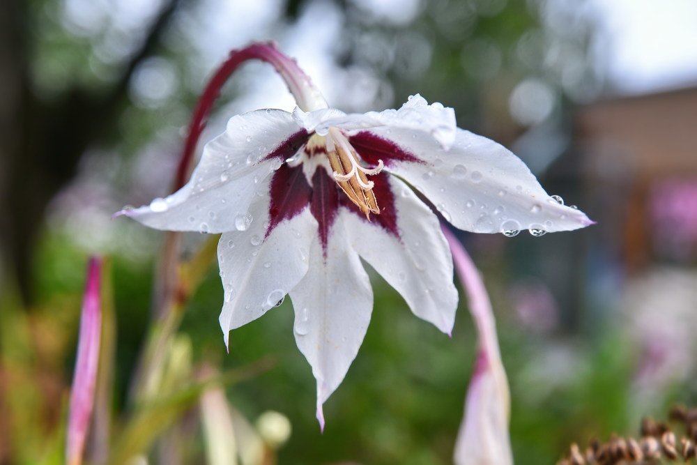 Photograph by Сергей Сёмин