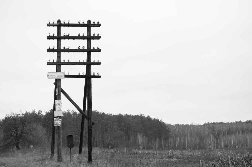 Фотография автора Елена Шатило