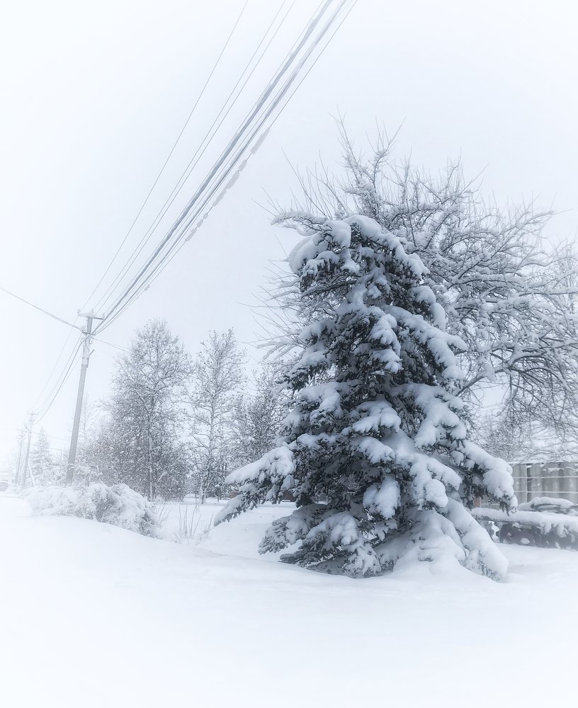 Photograph by Алексей Кроль