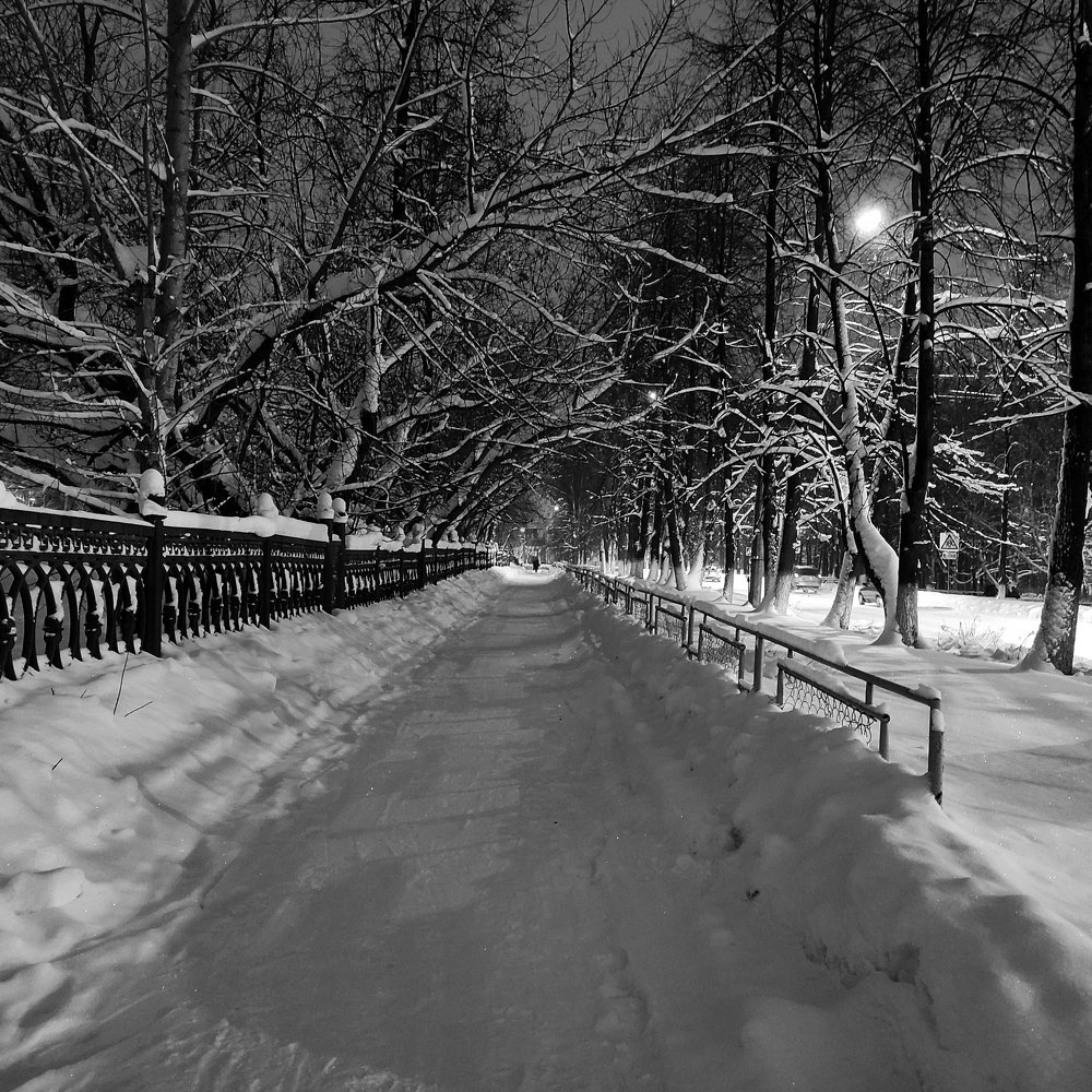 Photograph by Ирина Саттарова