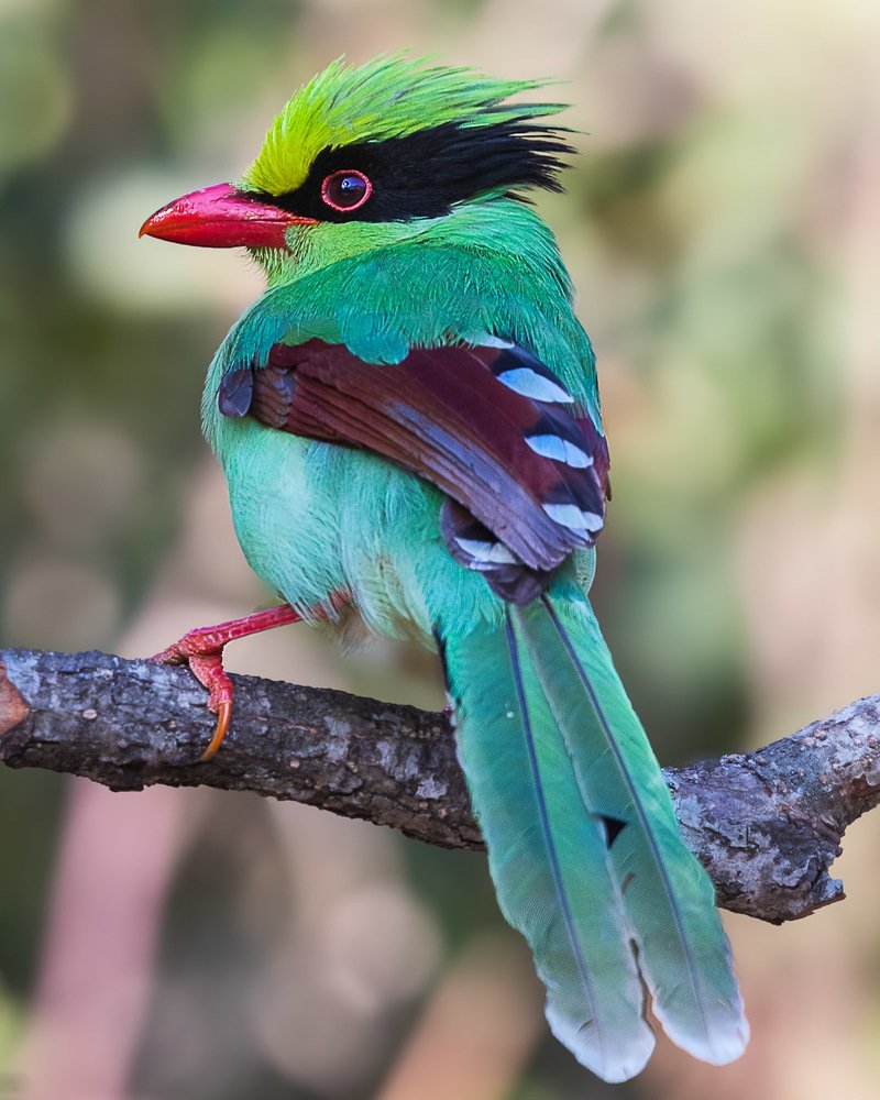 Photograph by Sameer Mudaye