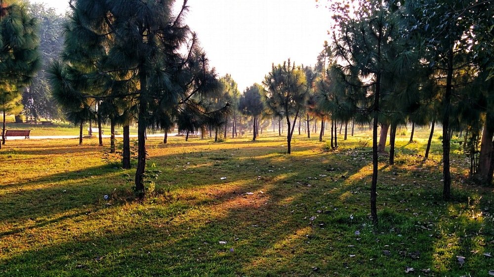 Photograph by Kamal Kishore Srivastava