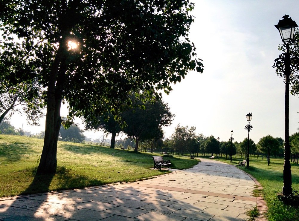 Photograph by Kamal Kishore Srivastava