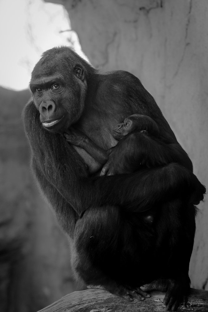 Photograph by Edina Muhari