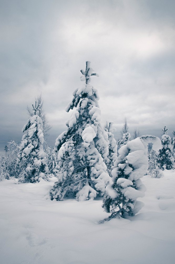 Photograph by Mark Keerd