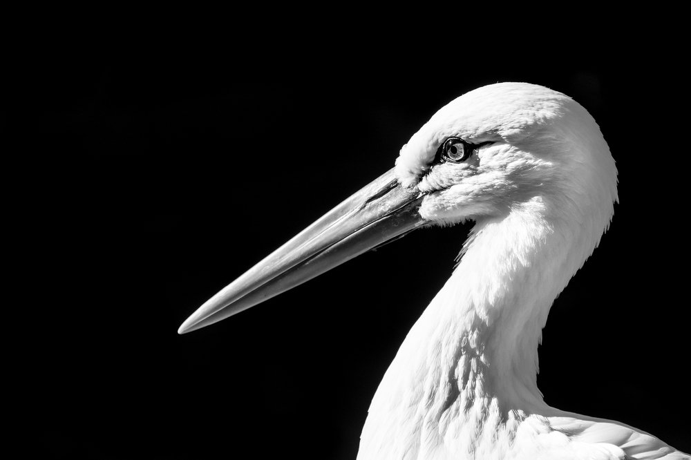 Photograph by Edina Muhari