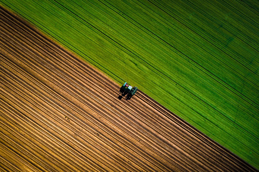 Photograph by Daniele Nigro