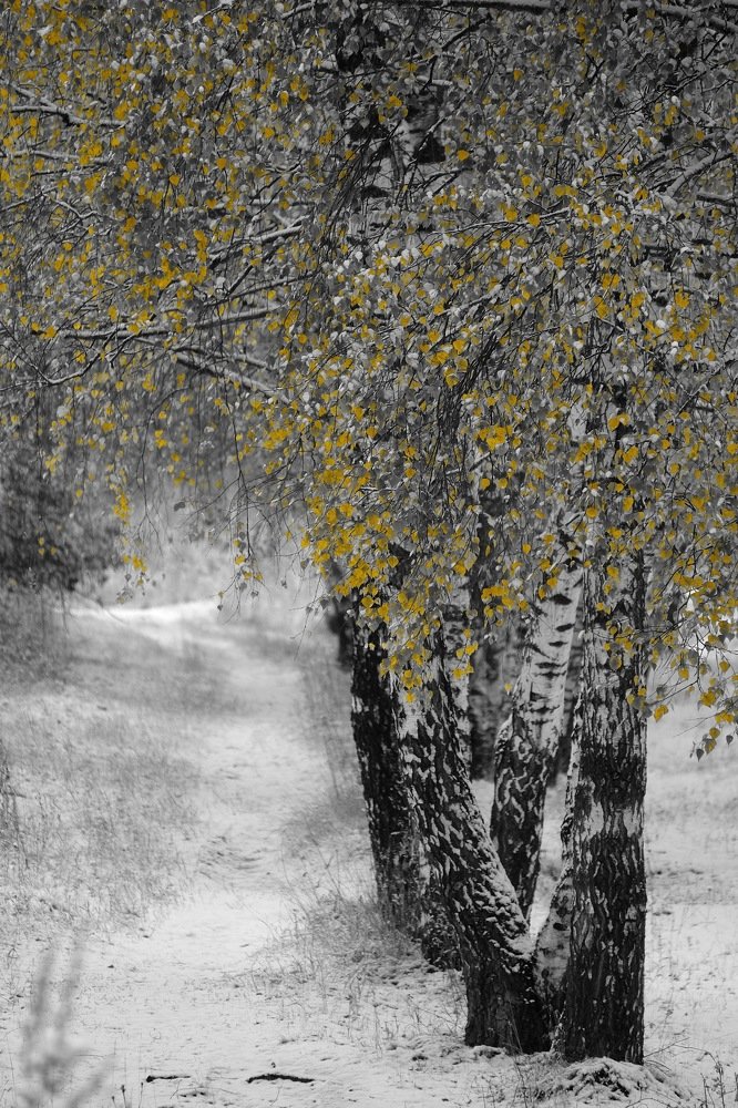 Photograph by Дмитрий