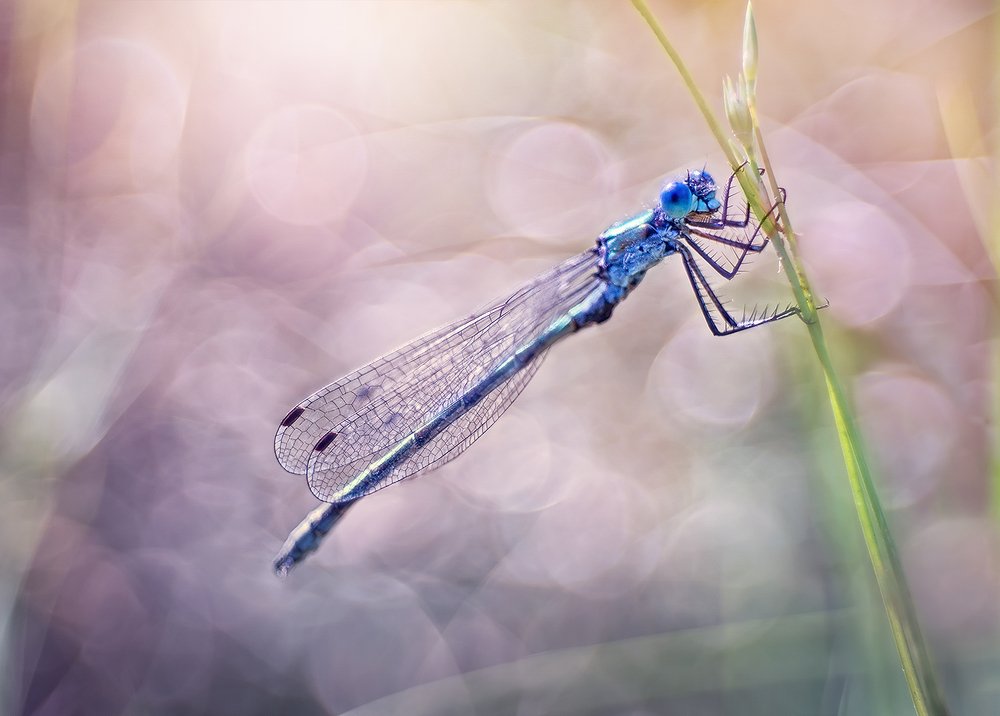 Солнечный день