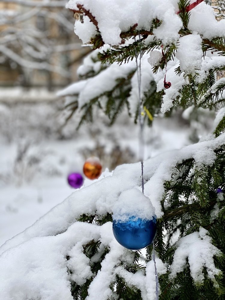 Photograph by Ольга Щербакова