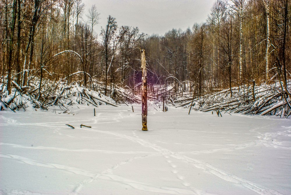 Photograph by Денис Геранькин