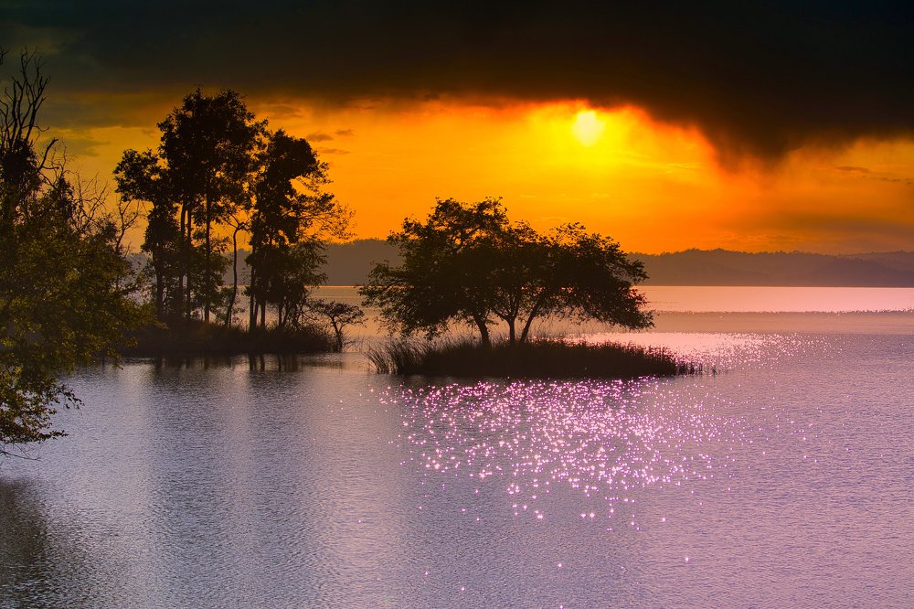 Photograph by Aniket Karane