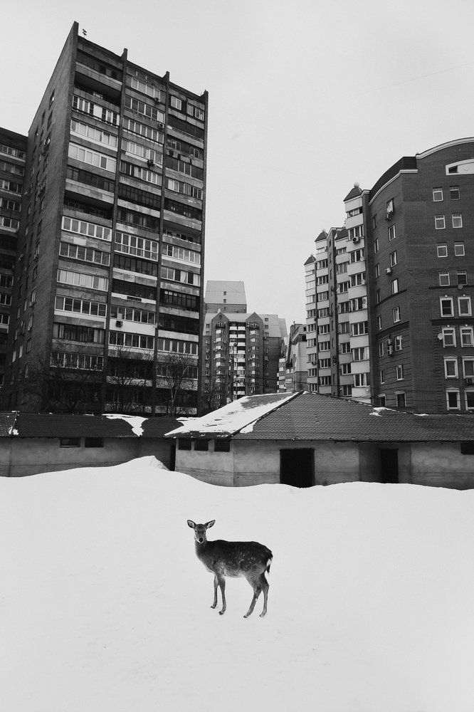 Photograph by Олег Кормашов