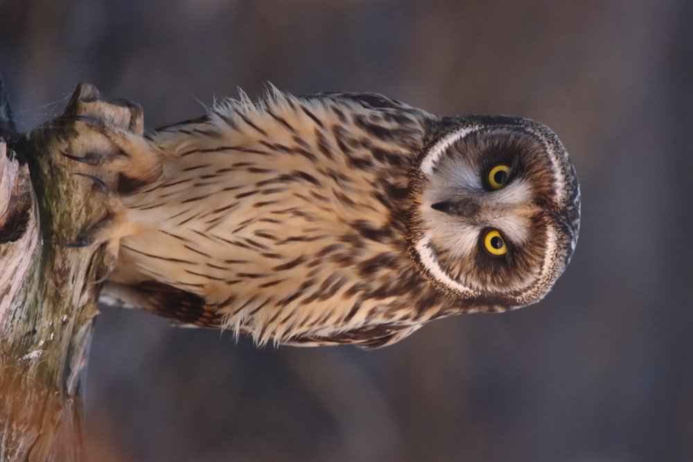 Photograph by Kenneth Tan