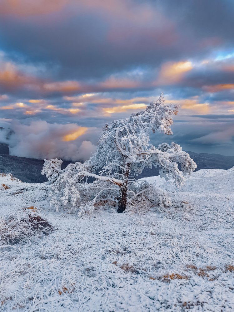 Чатыр-Даг, Крым