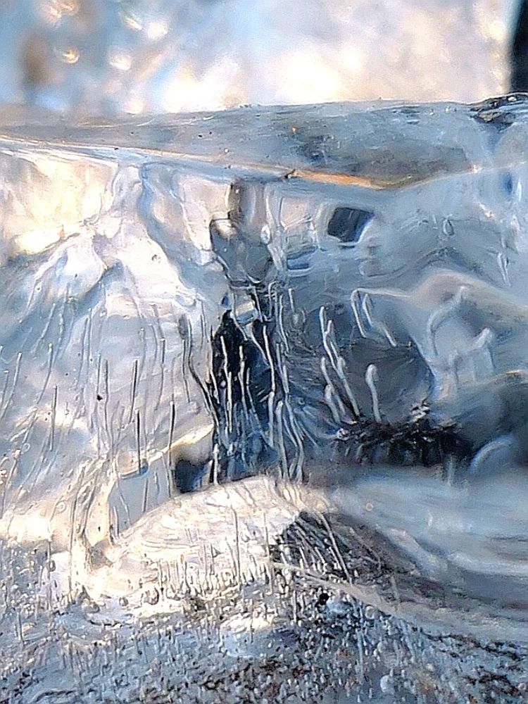 Жизнь в отражении