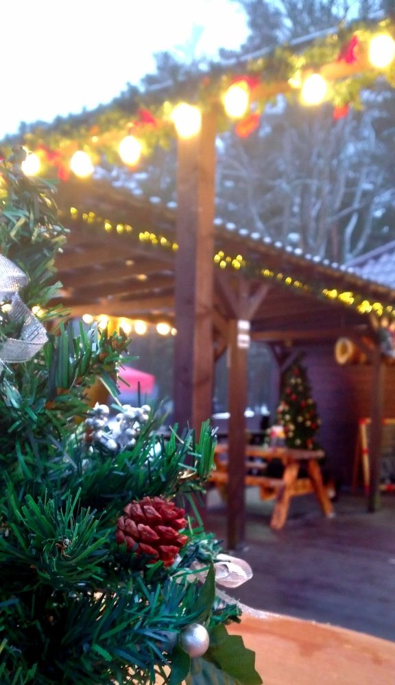 Photograph by Любовь Макарова