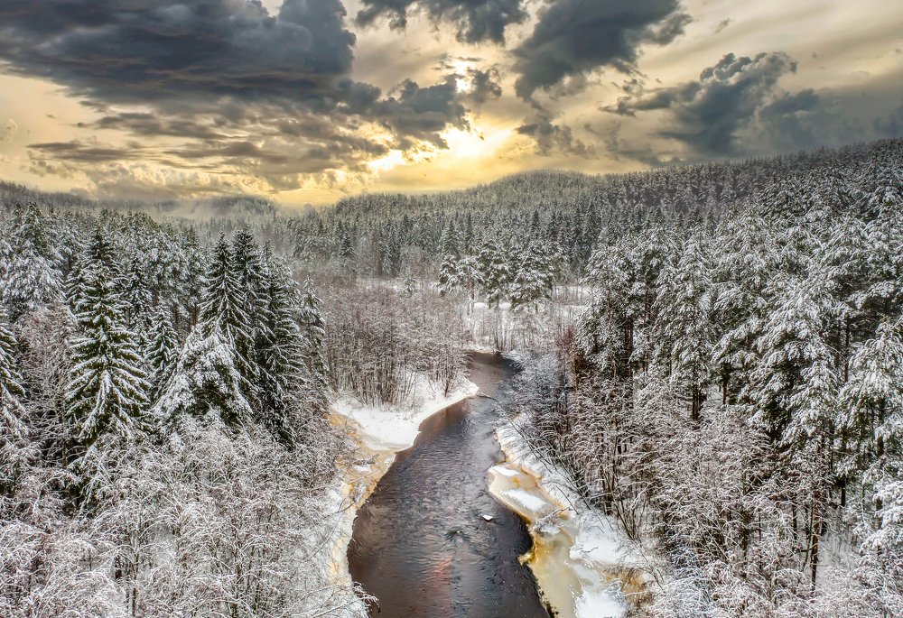 День зимнего солнцестояния