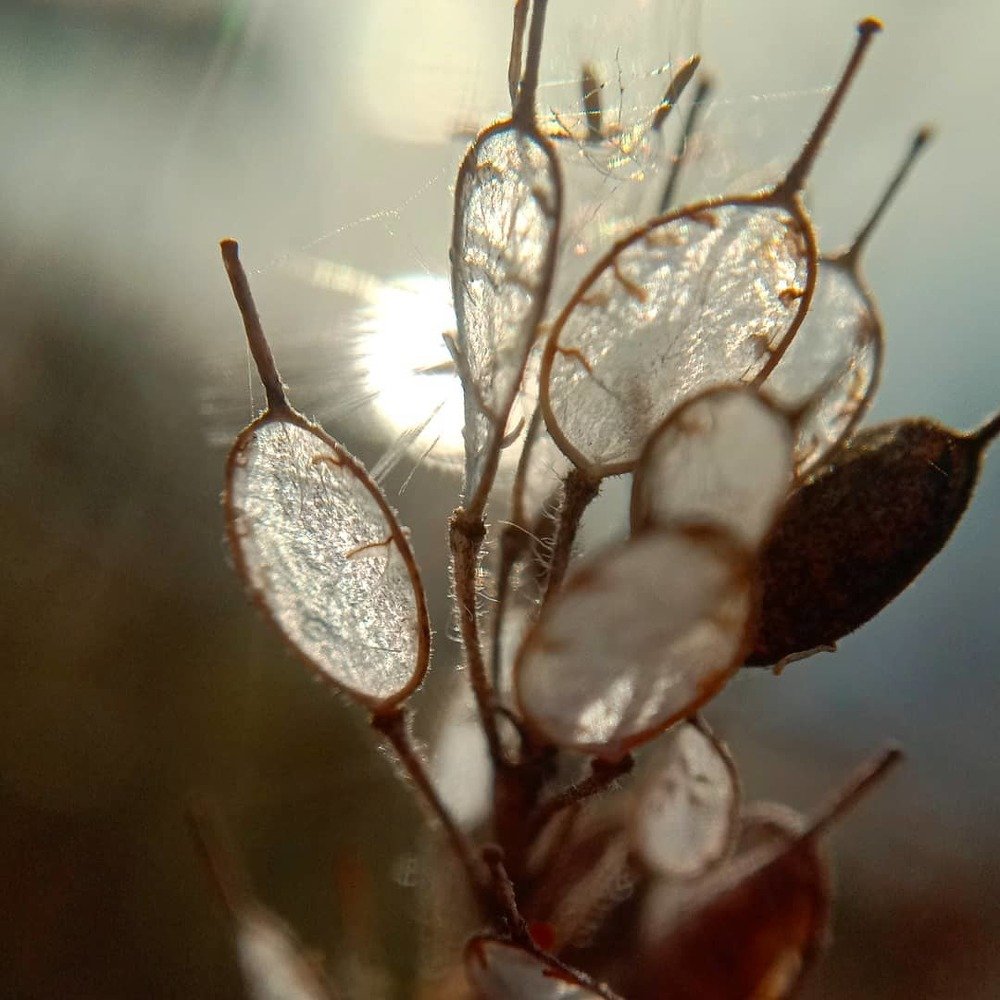 Photograph by Снежана Шепель