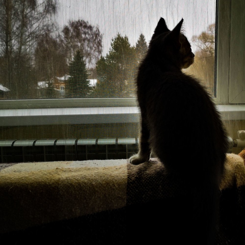 Photograph by Аля Кнастер