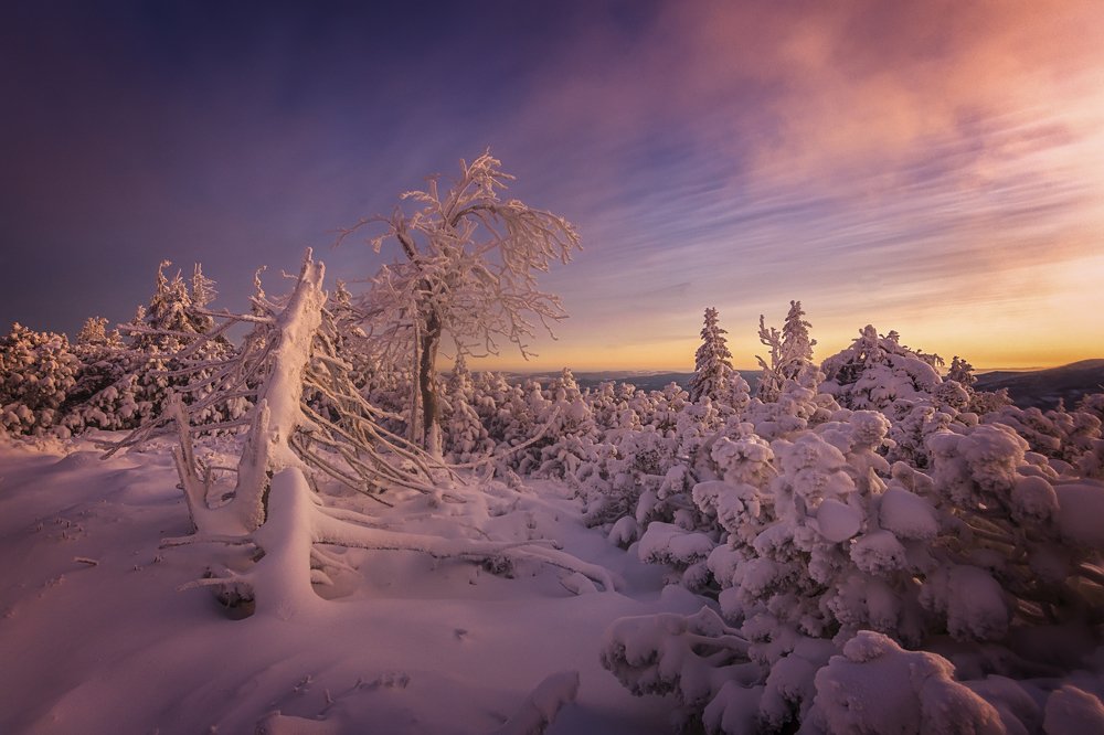 Фотография автора Martin Morávek