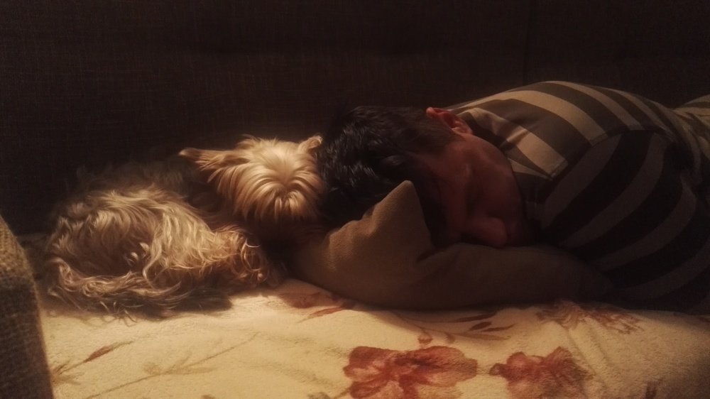 Photo #5477519