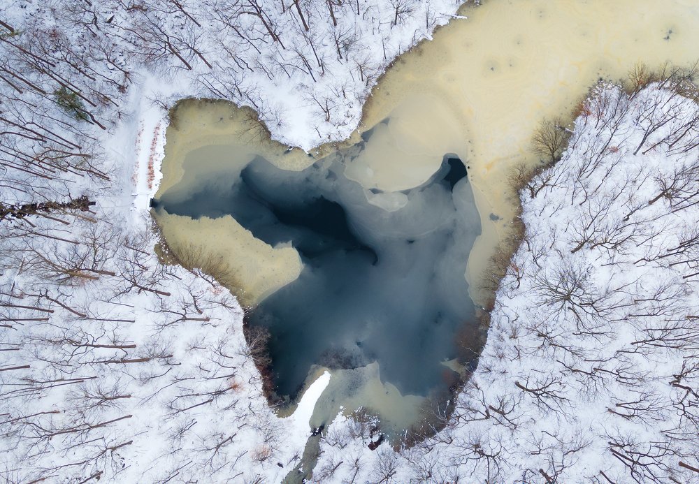 Frozen Heart