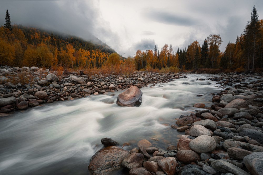 Photograph by Павшинкина Светлана