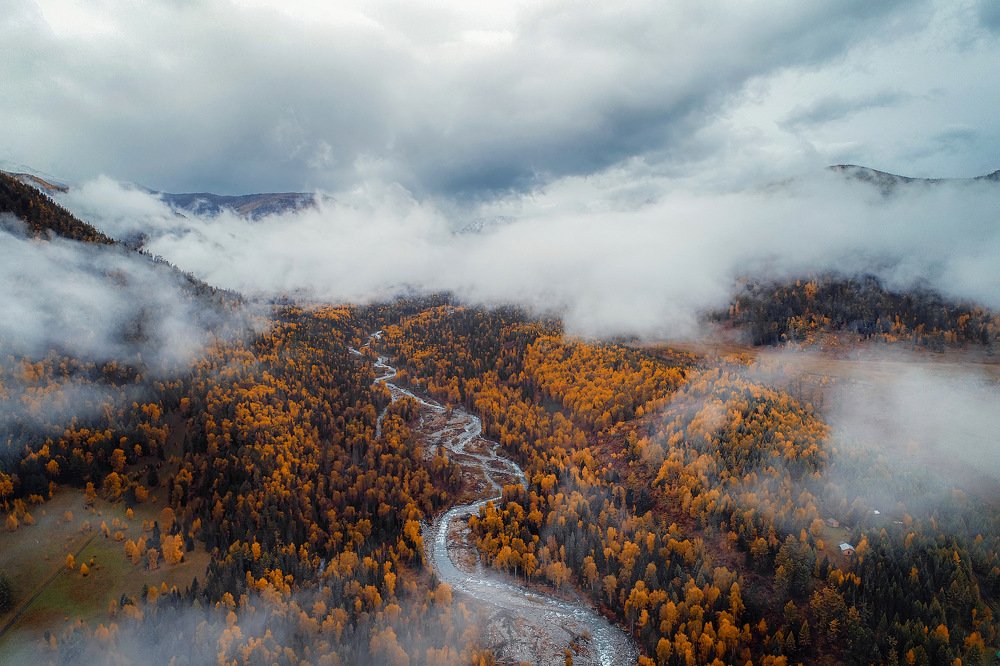 Photograph by Павшинкина Светлана