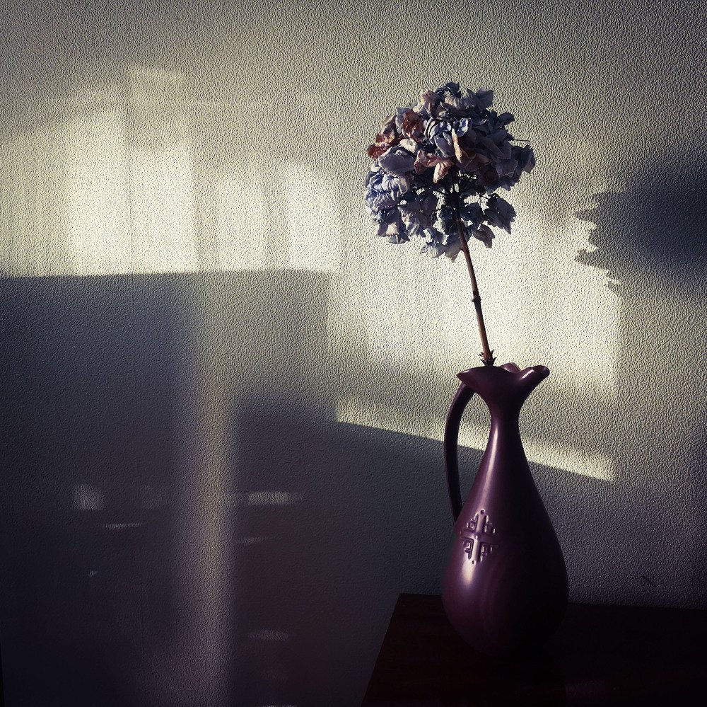 Photograph by Аля Кнастер