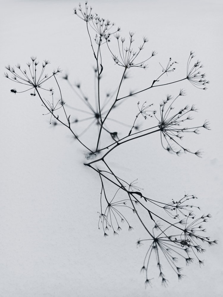 Photograph by Валерия Миронова