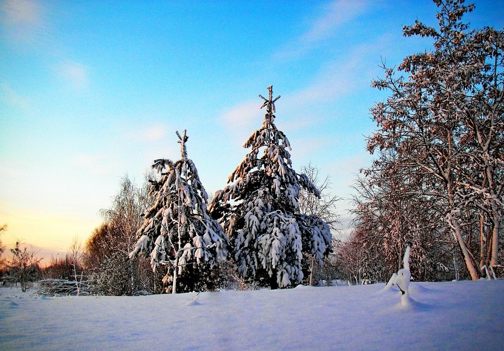 Photograph by Петр Калинкин